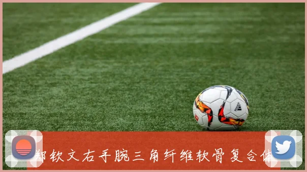 郑钦文右手腕三角纤维软骨复合体损伤，宣布退出2026年美网系列赛