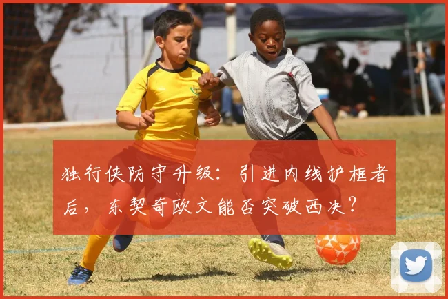 独行侠防守升级：引进内线护框者后，东契奇欧文能否突破西决？