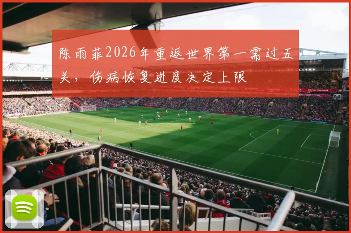 陈雨菲2026年重返世界第一需过五关，伤病恢复进度决定上限